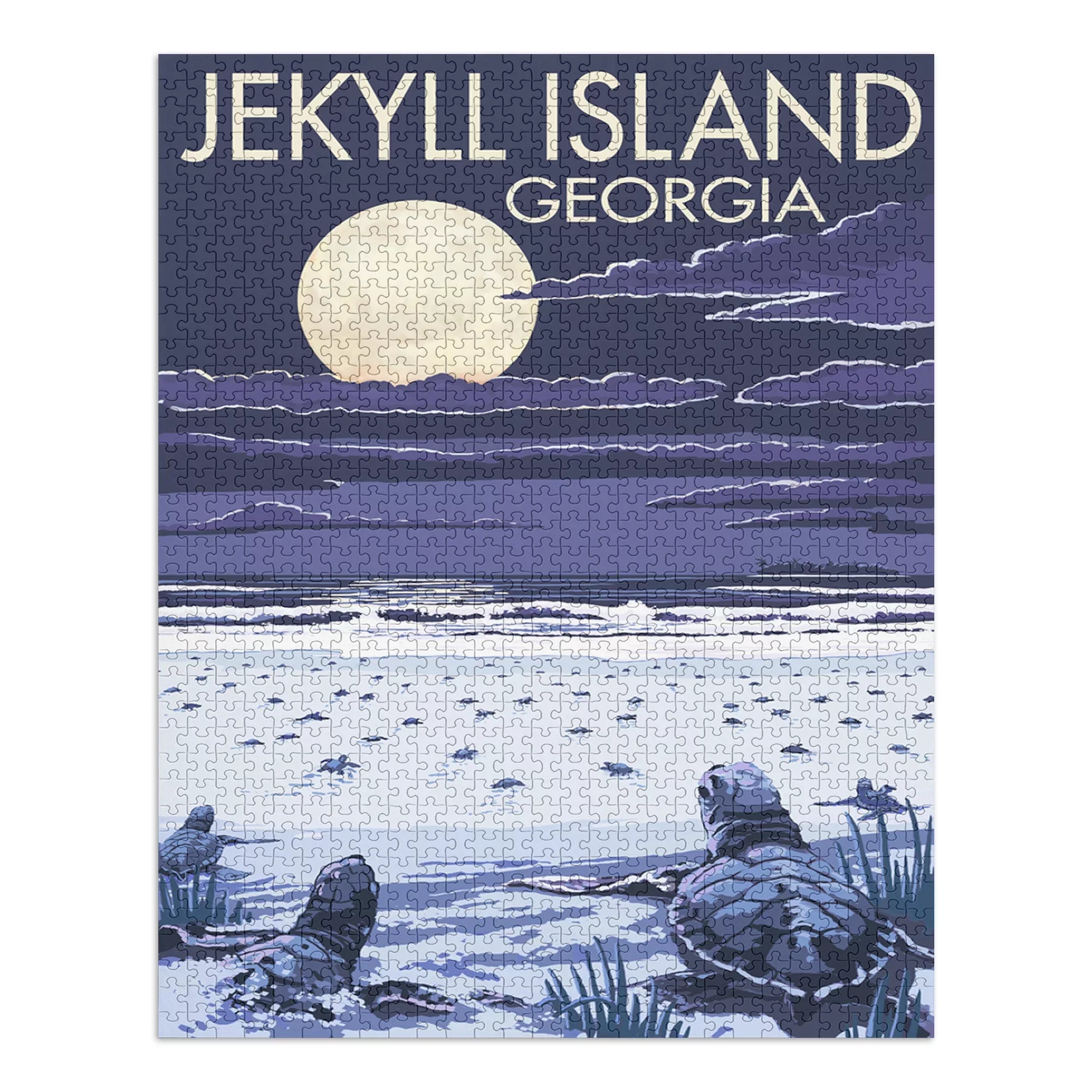 Jekyll Island, Georgia, Turtles Hatching (1000 Piece Puzzle, Size 19x27, Challenging Jigsaw Puzzle for Adults and Family, Made in USA)