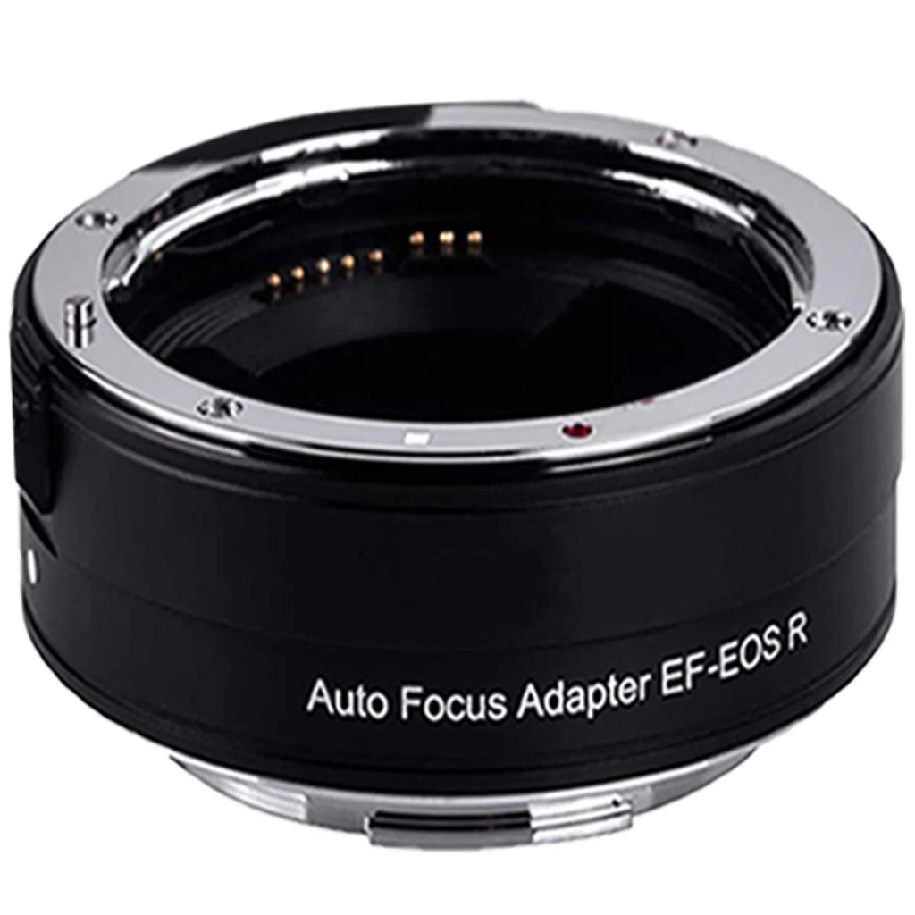 Canon EOS R6 Mirrorless Digital Camera with RF 24-105mm STM Lens + Mount Adapter + SanDisk 64GB + ZeeTech Accessory Bundle