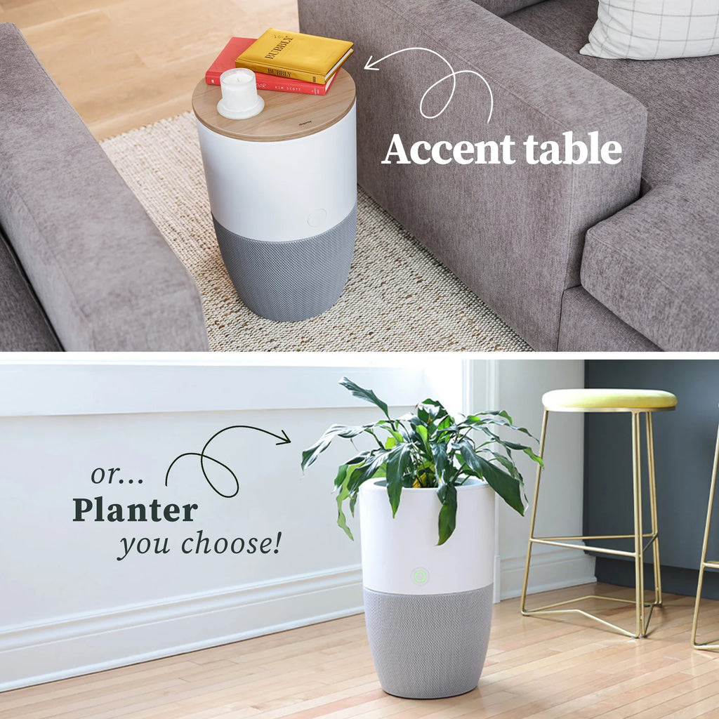 Dupray Bloom™ Air Purifier | Smart Medical-Grade HEPA-13 Air Filtration With Walnut Accent Table
