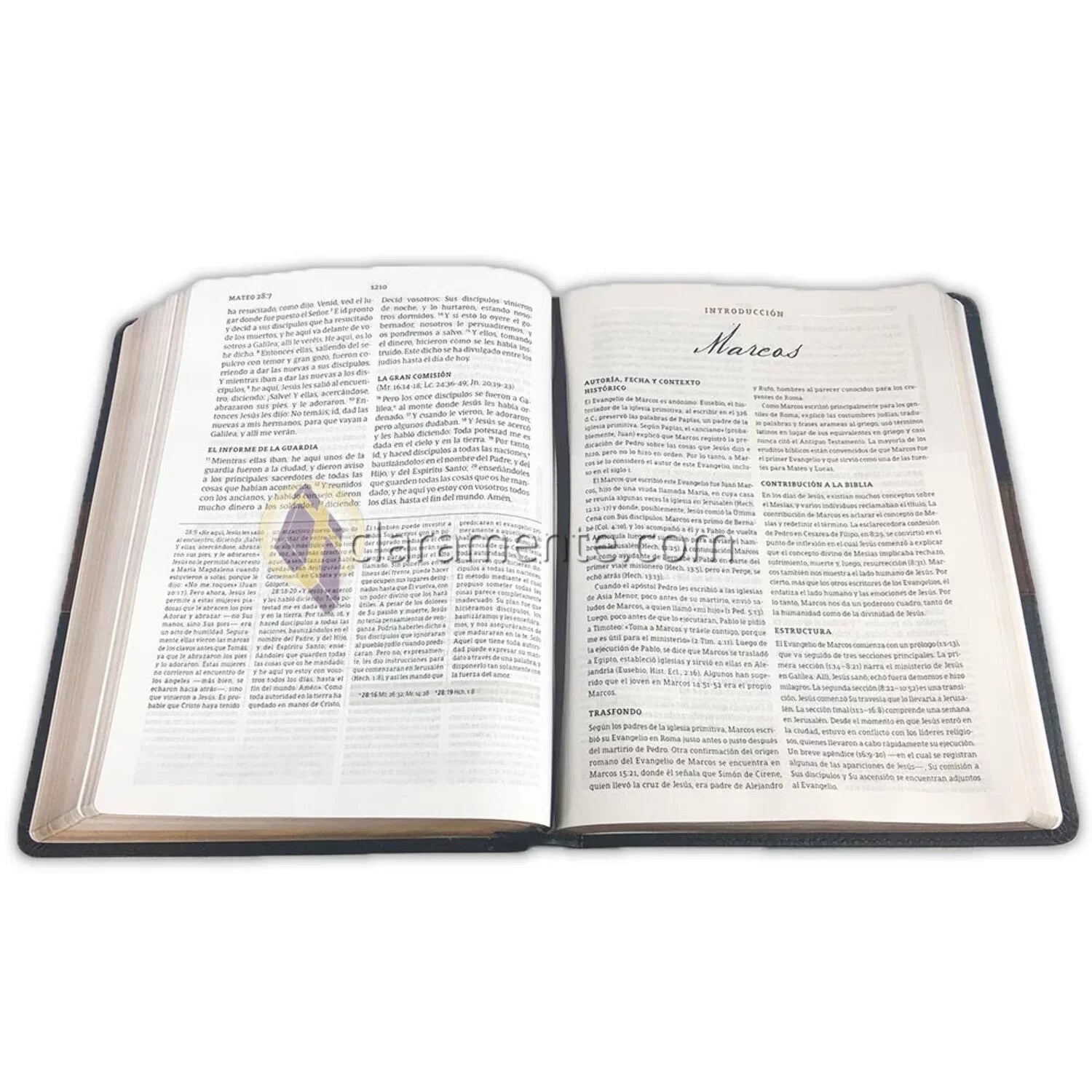 RVR 1960 Biblia de estudio Spurgeon, negro/marrón símil piel Coating