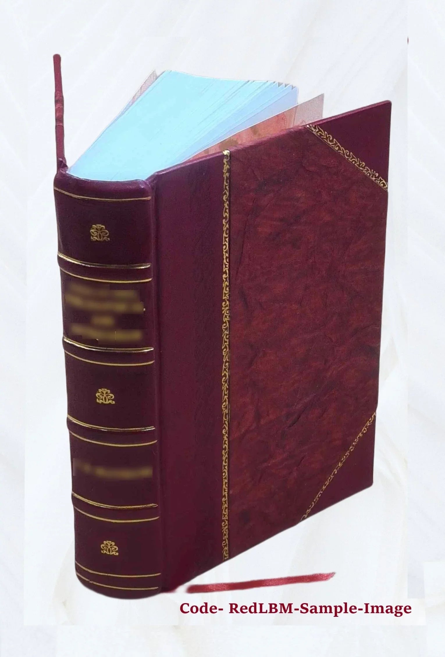 Apparatus biblicus, sive Manuductio ad Sacram Scripturam, tum clariùs, tum faciliùs intelligendam. Auctore r.p. Bernardo Lamy, .. 1723 [Leather Bound]