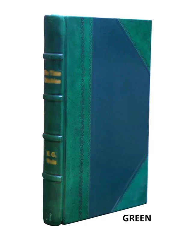Sights from the towers of Boston; an illustrated guide ... 1891 [Leather Bound]