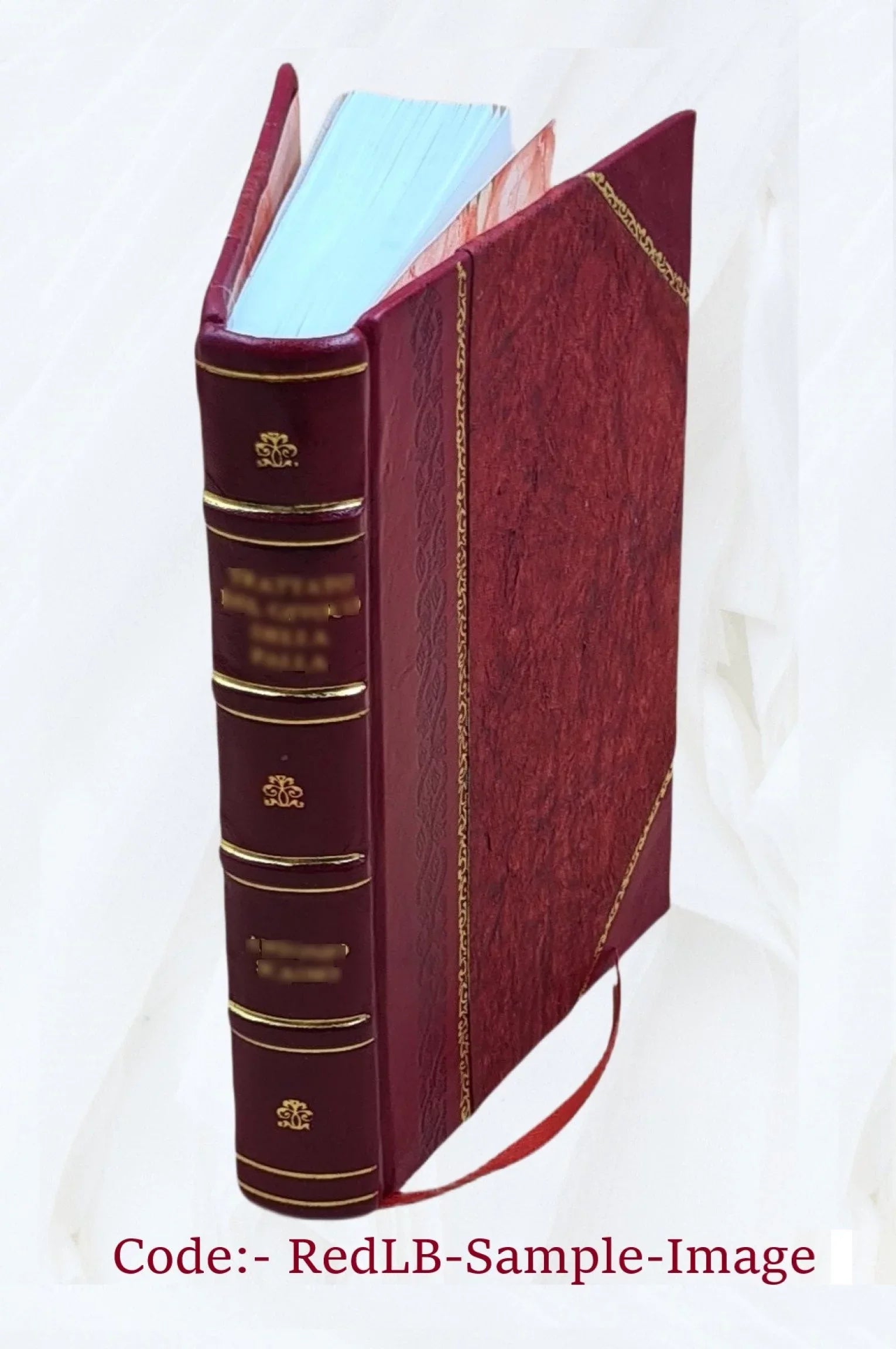 Commentarii a Philippo Beroaldo conditi In asinü aureu[m] Lucii Apuleii. 1504 [Leather Bound]