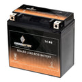 Chrome Battery YTX14-BS (14-BS 12 Volt,12 Ah, 200 CCA) Motorcycle Battery for Honda 1100cc Vt1100c, C3, T Shadow (spirit, Aero, A. C. E. Tourer) 2003