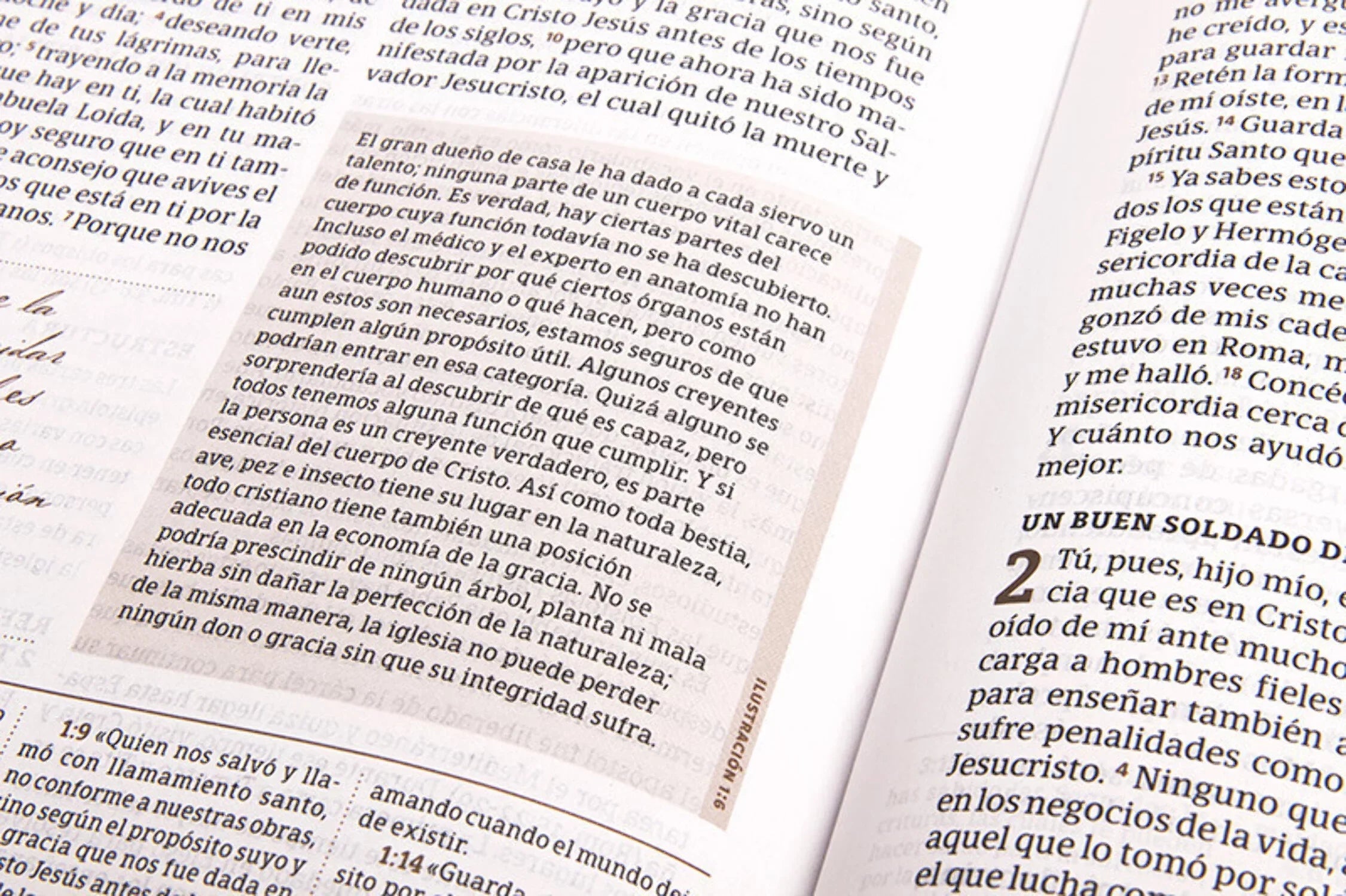 RVR 1960 Biblia de estudio Spurgeon, negro/marrón símil piel Coating
