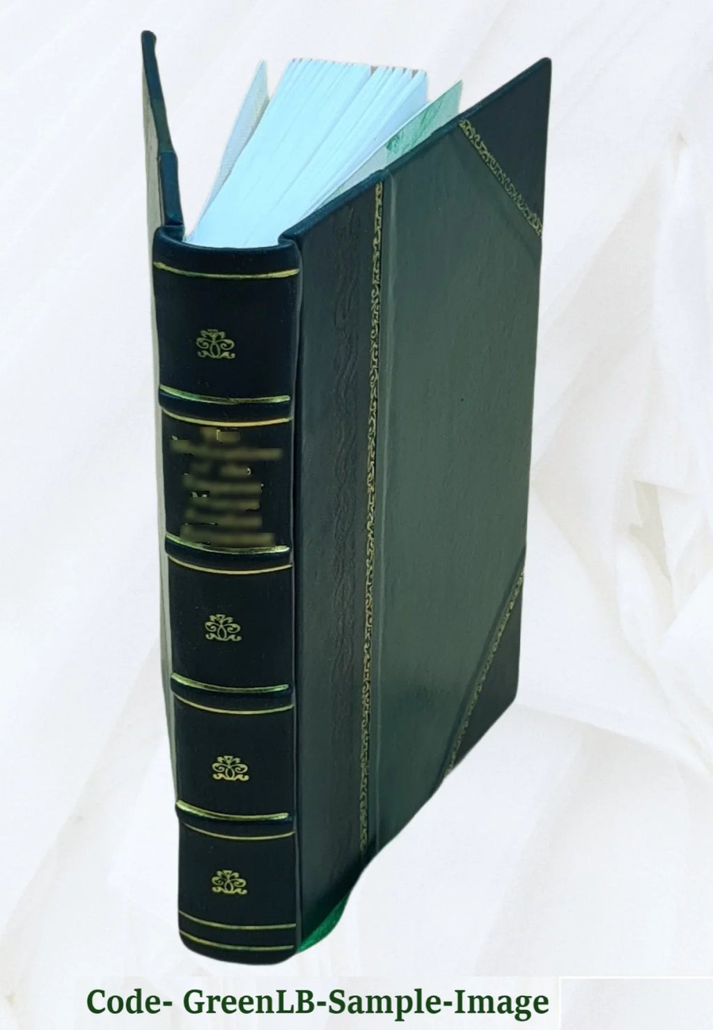 Commentarii a Philippo Beroaldo conditi In asinü aureu[m] Lucii Apuleii. 1504 [Leather Bound]