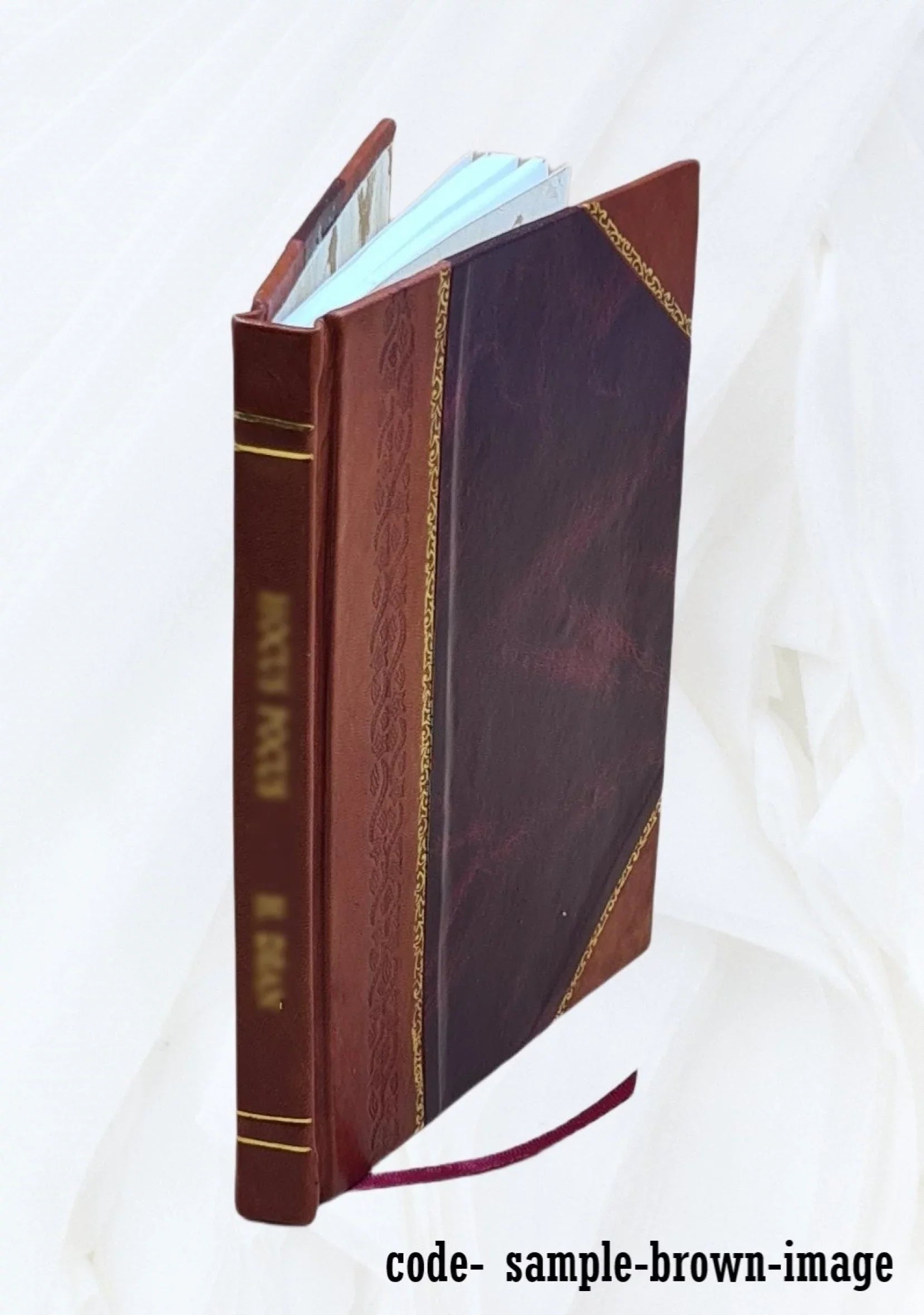 My progress book in good health : profitable seatwork to train health habits / by Pansy Barret Caldwell ; drawings by Jean Leavitt Turner. Volume v.6 1930 [Leather Bound]