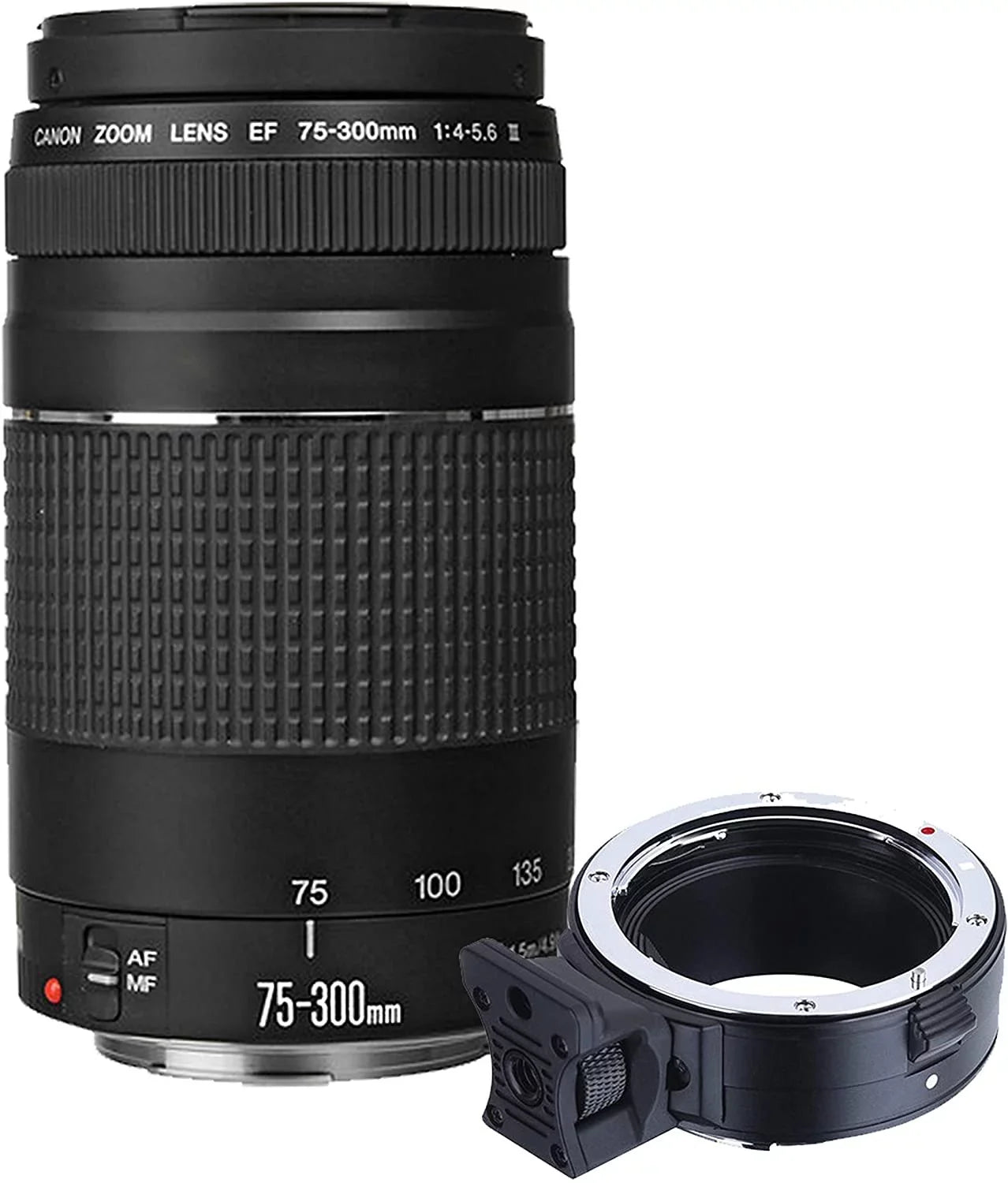 Canon EOS R6 Mirrorless Digital Camera with RF RF 24-105mm f/4 L is USM Lens + 75-300mm F/4-5.6 III Lens + 50mm f/1.8 STM Lens + 128GB Memory + Case + Tripod + Filters 42pc Bundle